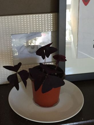 76781345_2206845399608101_3678409965971701760_n